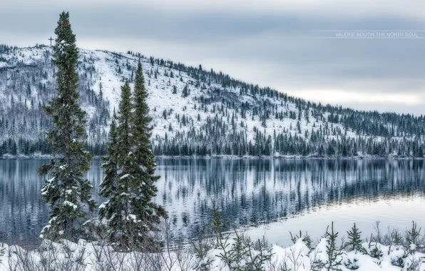 Картинка зима, снег, озеро, дерево, гора