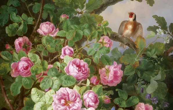 Картинка цветы, птица, розовые розы, щегол