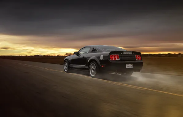 Картинка Mustang, Ford, Muscle, Car, Speed, Grey, Road, Collection, Aristo, Rear, GT 350