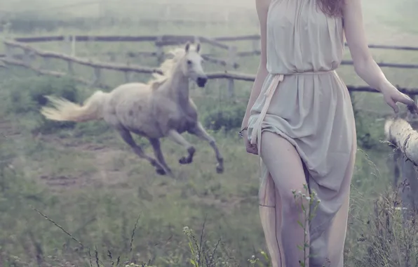 Картинка девушка, туман, лошадь, ограда, шатенка