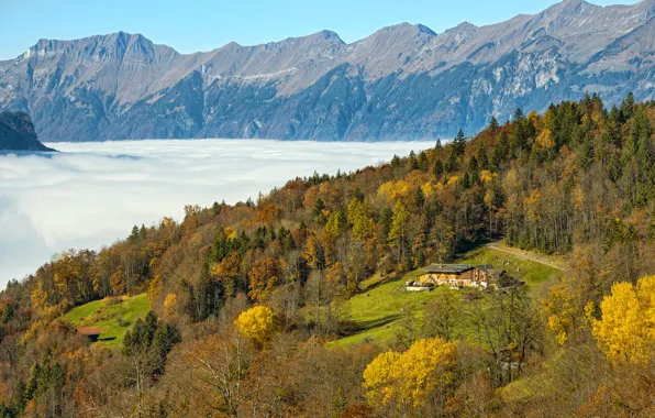 Картинка осень, лес, солнце, облака, деревья, горы, поляна, Швейцария, домик, Hasliberg