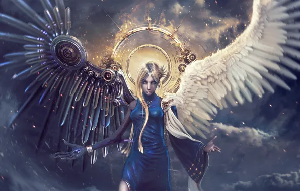 Картинка небо, Девушка, крылья, ангел, демон