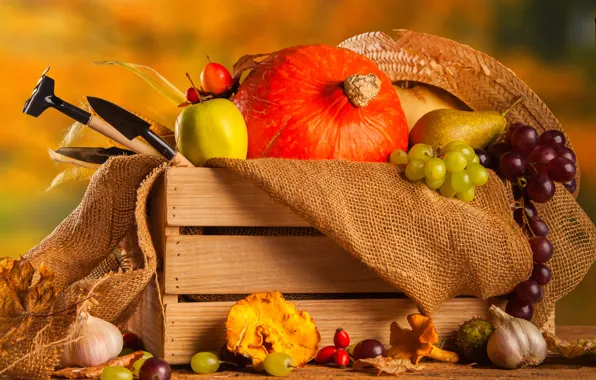 Картинка осень, урожай, тыква, натюрморт, овощи, autumn, still life, pumpkin, vegetables, harvest