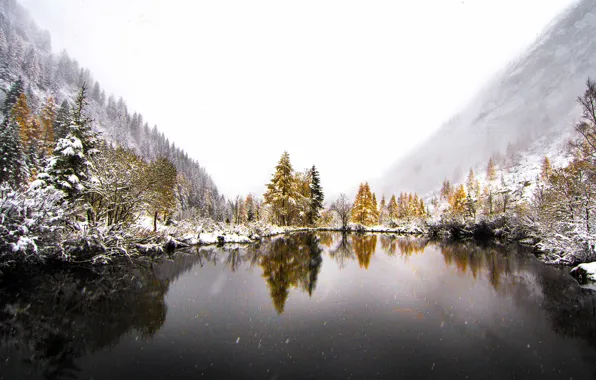 Картинка зима, снег, деревья, горы, туман, озеро, отражение, зеркало