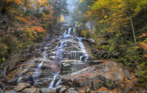 Картинка осень, лес, деревья, горы, река, камни, скалы, водопад, поток