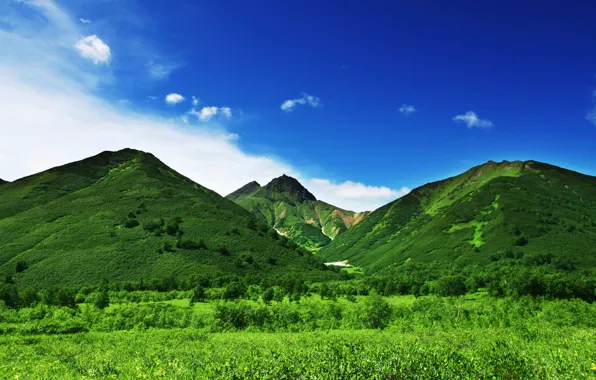 Картинка зелень, небо, трава, деревья, горы, природа