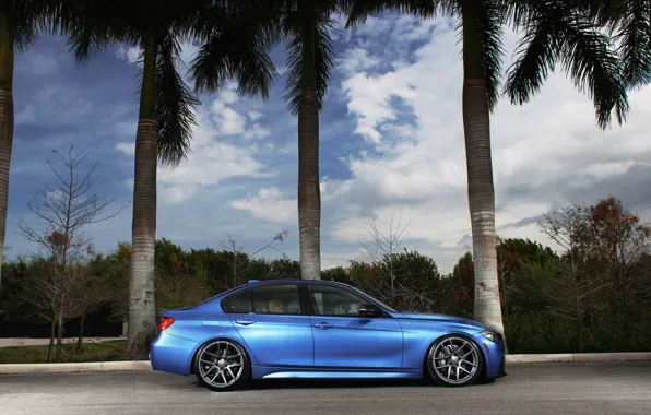 Картинка синий, тюнинг, бмв, BMW, профиль, blue, tuning, F30, 3 серия