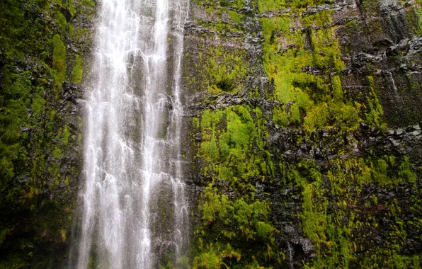 Картинка водопад, Гавайи, USA, США, Hawaii, Национальный парк Халеакала, Maui, Haleakalā National Park, Остров Мауи