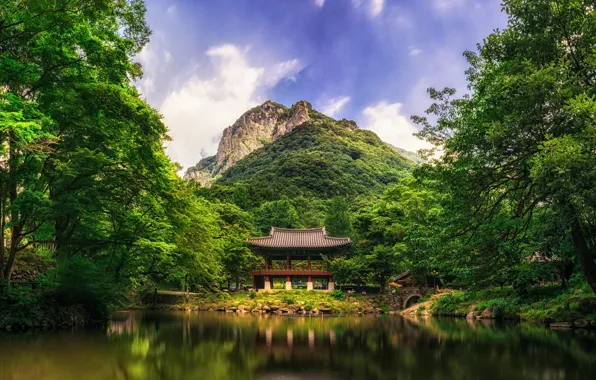 Картинка лес, деревья, мост, природа, озеро, гора, Китай