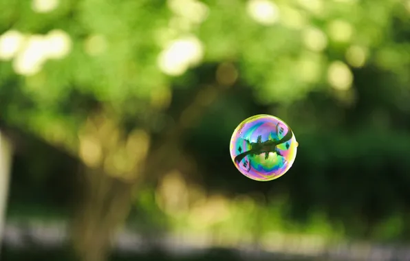 Картинка зелень, отражение, фото, шар, пузырь, мыльный