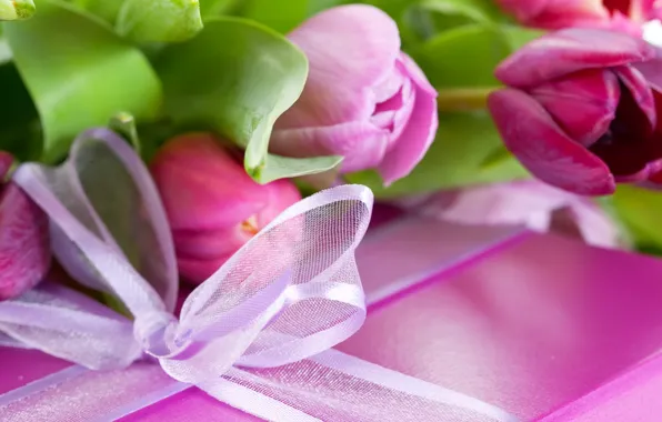 Картинка цветок, фиолетовый, листья, цветы, сиреневый, розовый, праздник, коробка, подарок, тюльпан, лепестки, лента, бантик, поздравление, упаковка, …