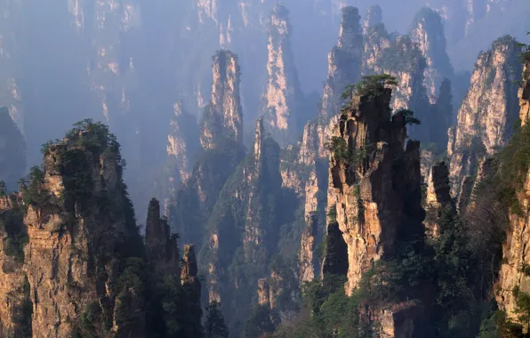 Картинка Горы, Лес, Китай