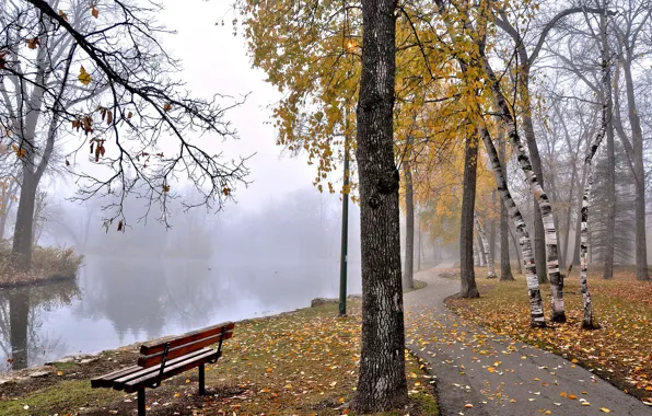 Картинка осень, деревья, туман, пруд, парк, скамья