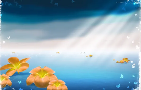 Картинка море, лучи, бабочки, цветы, синий, полотно, пространство