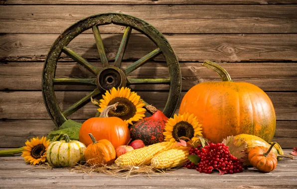 Картинка осень, урожай, тыква, натюрморт, овощи, autumn, still life, pumpkin, vegetables, harvest
