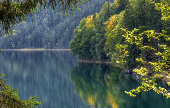 Картинка осень, лес, отражение, Германия, Бавария, Germany, водная гладь, Bavaria, Lake Eibsee, озеро Айбзее