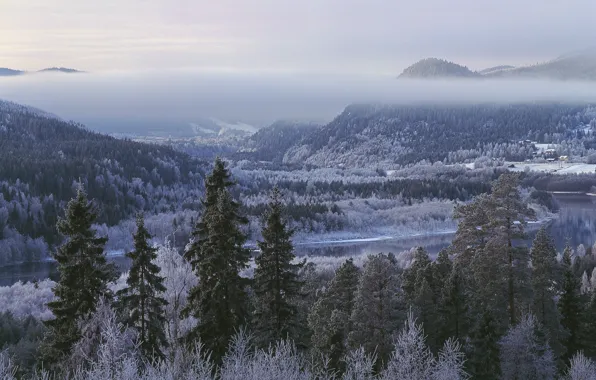 Картинка зима, лес, деревья, горы, Швеция, Sweden, Lien, Jämtland