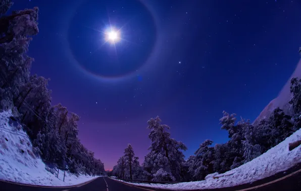 Картинка дорога, лес, небо, звезды, свет, снег, ночь, луна, Природа, Зима