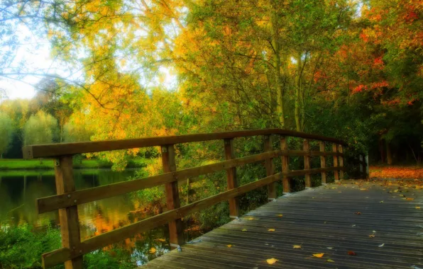 Картинка осень, лес, листья, вода, деревья, мост, природа, парк, река, вид, hdr, прогулка, forest, аллея, river, …