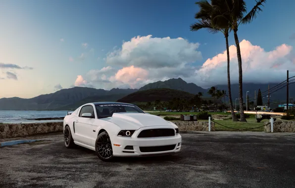 Картинка Mustang, Ford, Muscle, Car, Hawaii, Front, 5.0, White