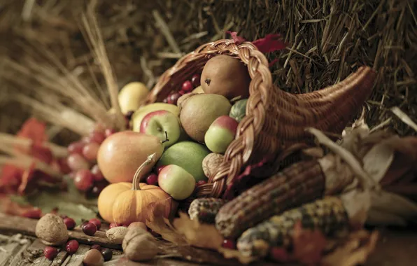 Картинка осень, листья, ягоды, корзина, яблоки, кукуруза, урожай, тыква, орехи, овощи, груши, autumn, leaves, nuts, pears, …
