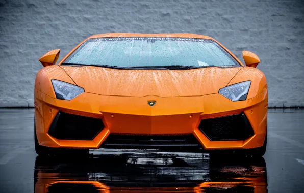 Картинка Lamborghini, Оранжевый, Orange, Суперкар, LP700-4, Aventador, Supercar, Передок
