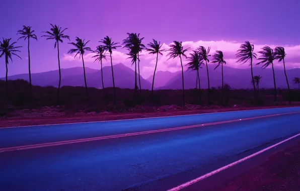 Картинка дорога, горы, пальмы, цвет, 153