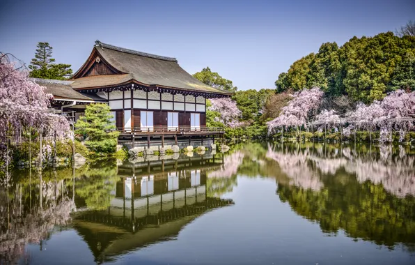 Картинка деревья, озеро, пруд, парк, отражение, весна, Япония, сакура, Japan, Kyoto, Киото, водоём, Храм Хэйан, Heian …