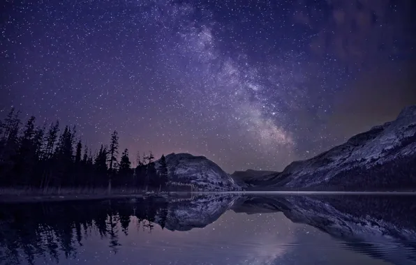 Картинка лес, звезды, горы, ночь, озеро, отражение, млечный путь