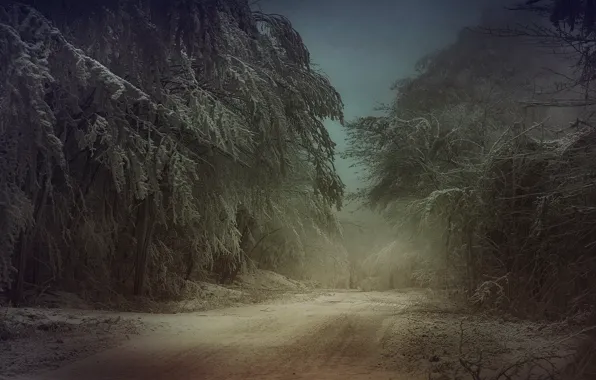 Картинка холод, зима, иней, дорога, лес, снег, деревья