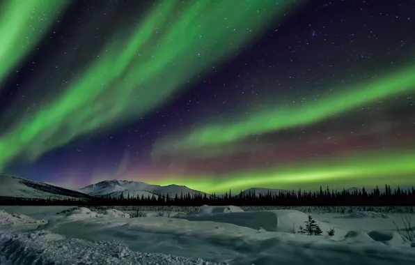 Картинка небо, звезды, снег, деревья, пейзаж, горы, ночь, северное сияние, Аляска