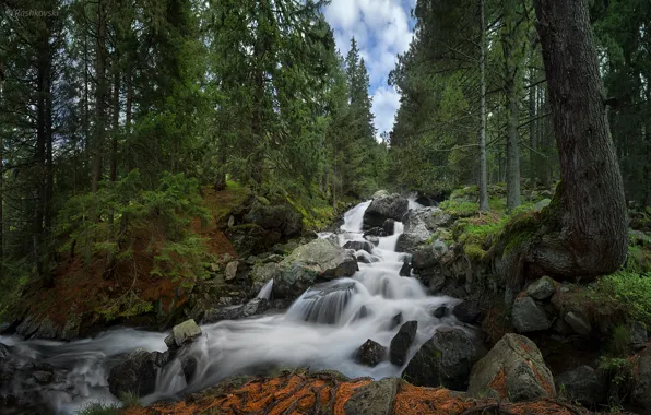 Картинка лес, водопад, Болгария, Bulgaria, Rila National Park, Skakavica Waterfall, Национальный парк Рила