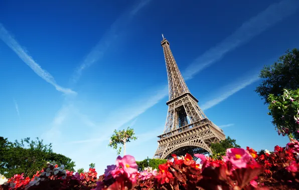 Картинка небо, деревья, цветы, Франция, Париж, Эйфелева башня, Paris, France, Eiffel Tower, La tour Eiffel