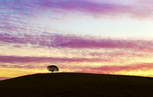 Картинка небо, облака, закат, дерево, вечер, холм, Австралия