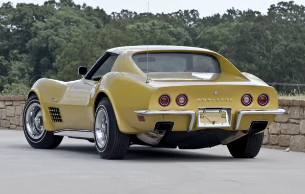 Картинка car, машина, Corvette, Chevrolet, шевроле, retro, 1970, задок, Stingray