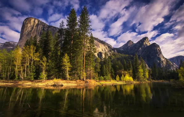 Картинка деревья, горы, природа, река, утро, Калифорния, Йосемити, California, Yosemite National Park