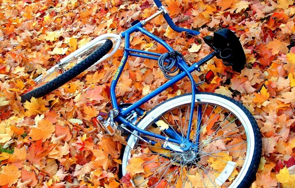 Картинка осень, листья, желтый, велосипед, велик, брошенный