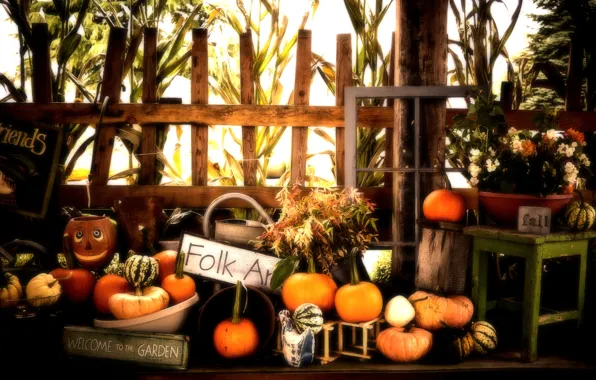 Картинка Halloween, Pumpkins, Fall, Autumn