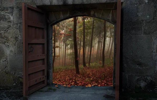 Картинка осень, лес, деревья, природа, стена, ворота, двери, wall, forest, Nature, trees, autumn, fall, doors