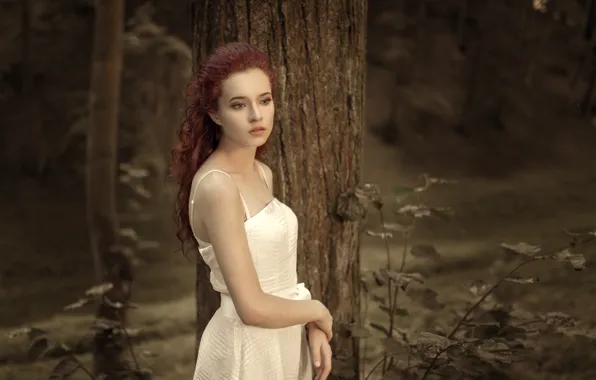 Картинка девушка, платье, красивая, одна, в белом, боке, в лесу, у дерева