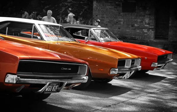 Картинка Dodge Charger, '1969, '1968, Dodge Charger RT SE