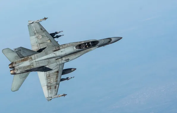 Картинка оружие, самолёт, CF-18 Hornet