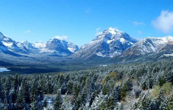 Картинка лес, небо, пейзаж, горы, природа, США, Glacier, Montana