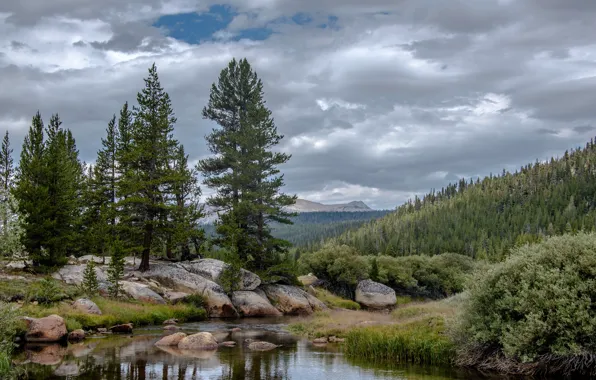 Картинка лес, облака, деревья, горы, тучи, ручей, камни, Калифорния, США, Йосемити, California, Yosemite National Park