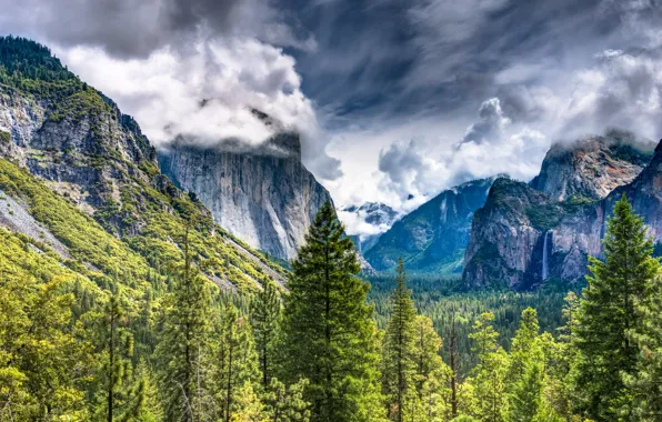 Картинка Горы, Деревья, Пейзаж, Yosemite National Park