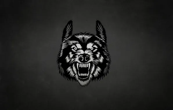 Картинка морда, темный фон, волк, wolf