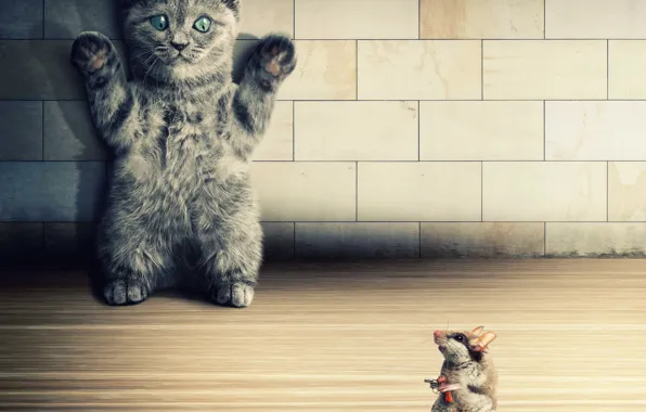 Картинка кошка, котенок, пистолет, стена, мышь, руки вверх