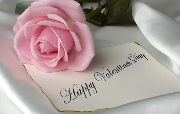 Картинка цветы, розовый, романтика, роза, rose, pink, flowers, pretty, romantic, День Святого Валентина, romance, valentines day, …