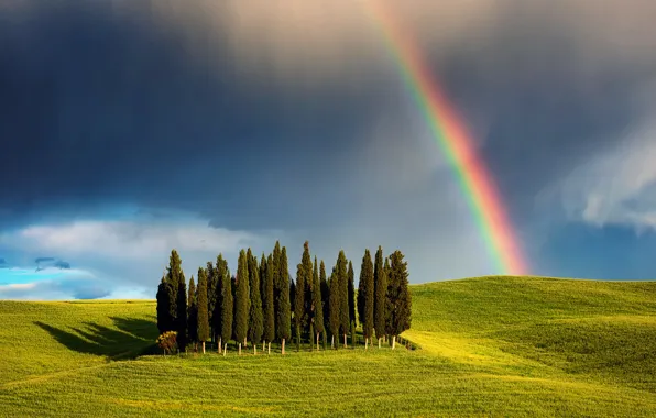 Картинка небо, облака, деревья, тучи, природа, поля, радуга, весна, Италия, Май, роща, Тоскана, Кипарисовый холм
