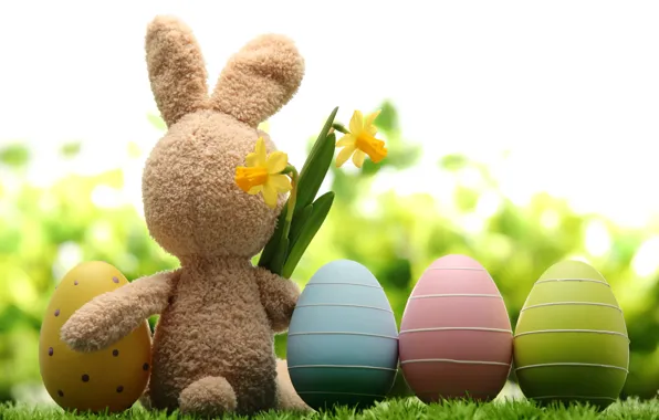 Картинка трава, цветы, природа, праздник, игрушка, заяц, яйца, весна, Пасха, нарциссы, Easter